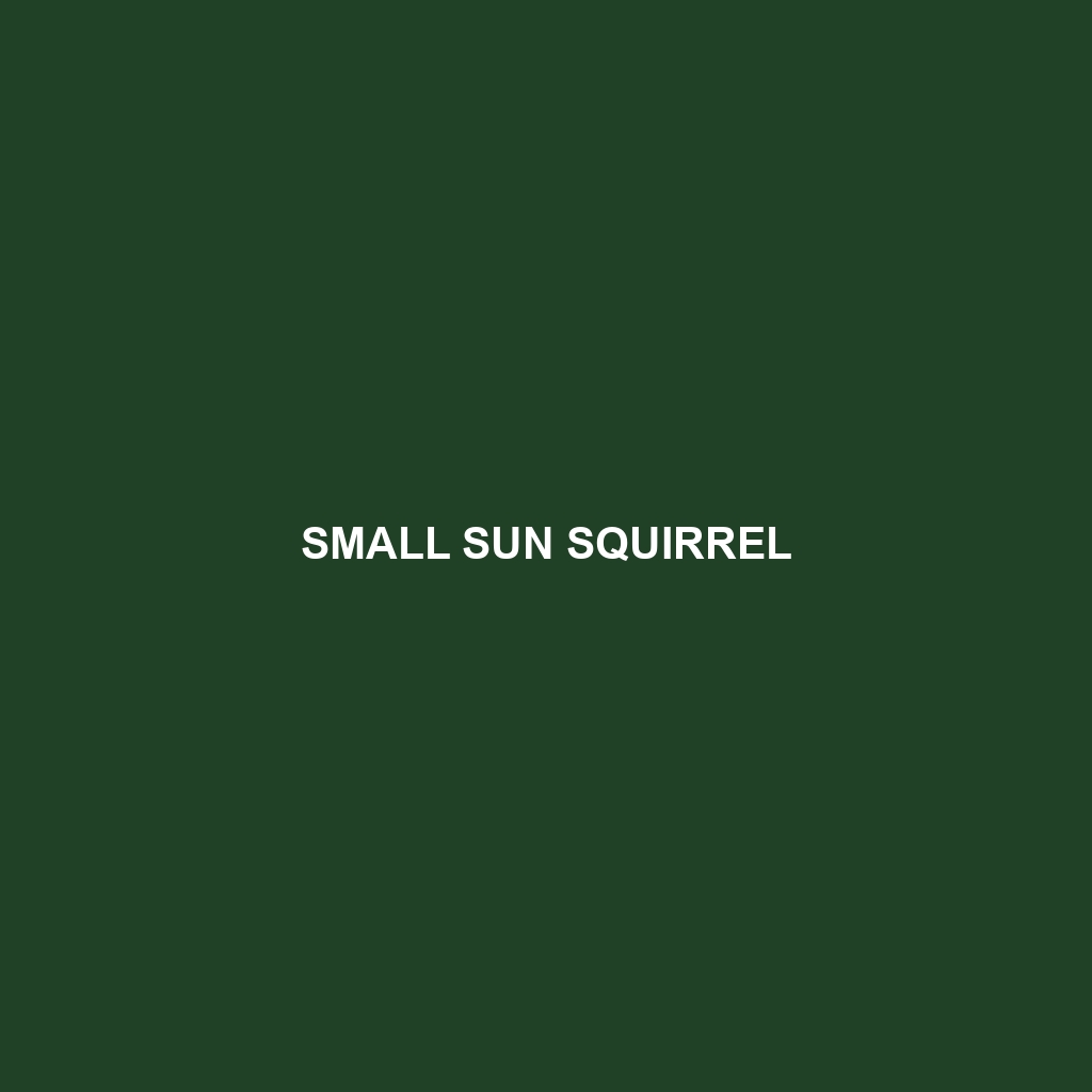 Small Sun Squirrel