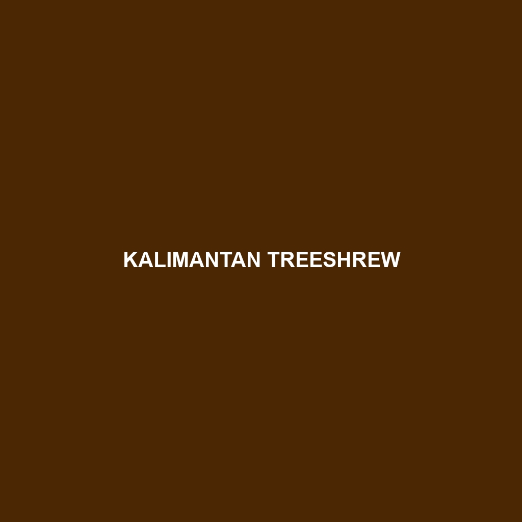 Kalimantan Treeshrew