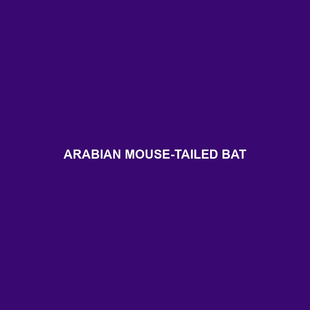 Arabian Mouse-tailed Bat