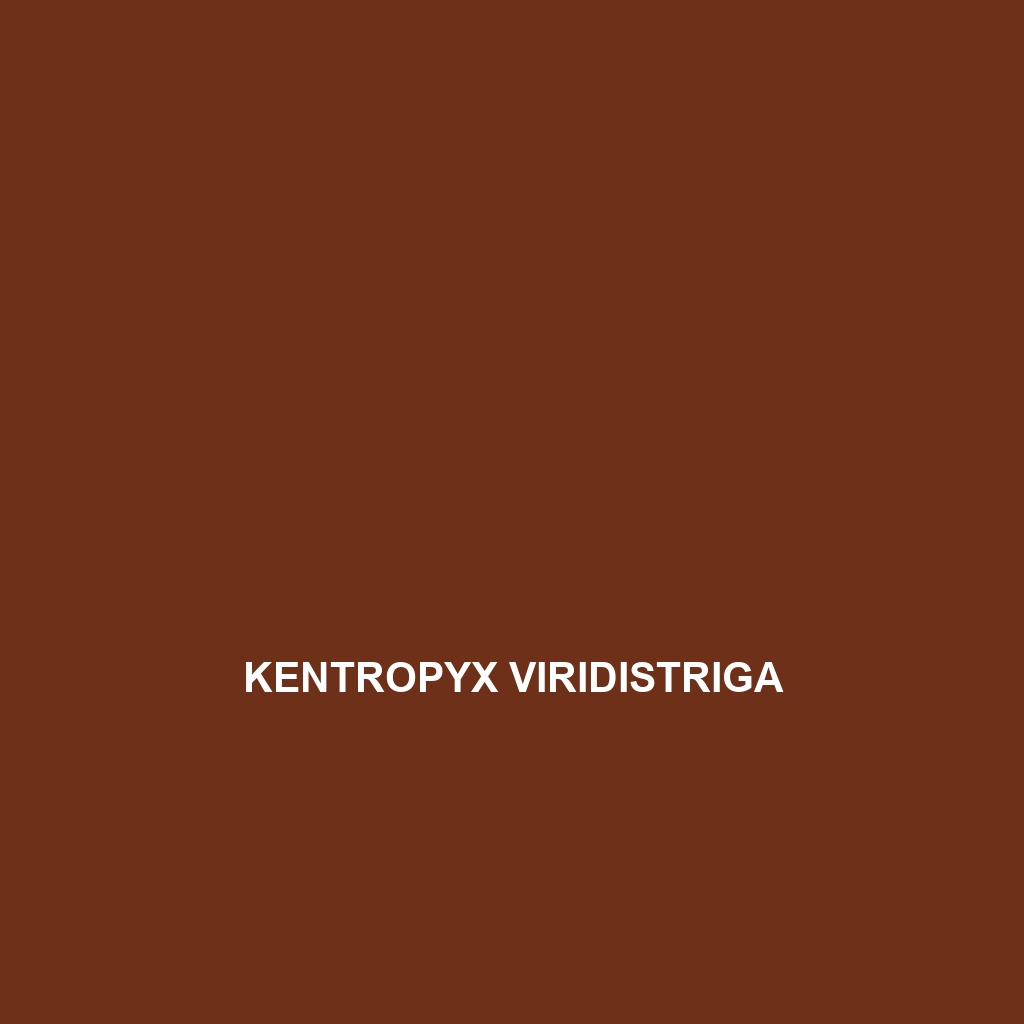 Kentropyx viridistriga