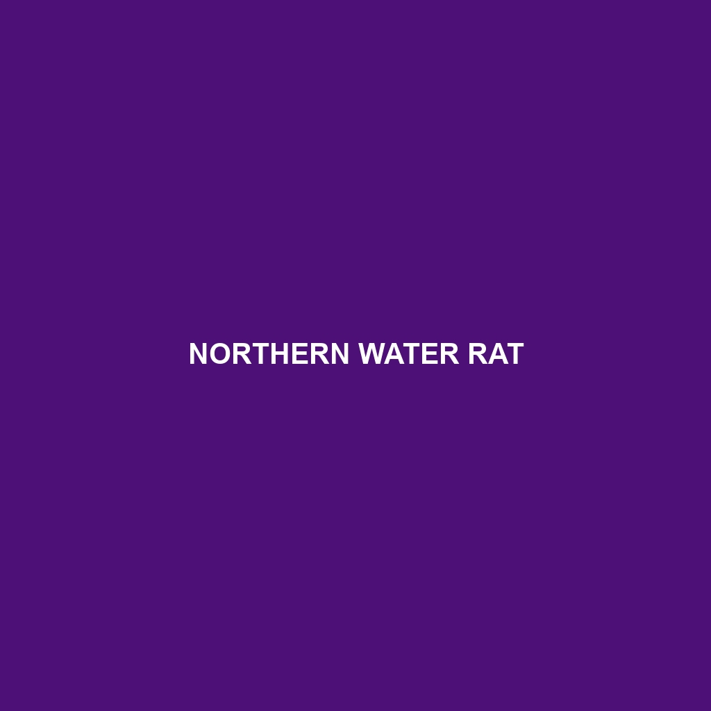 Northern Water Rat