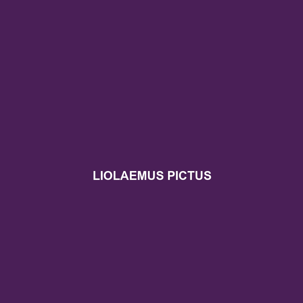 Liolaemus pictus