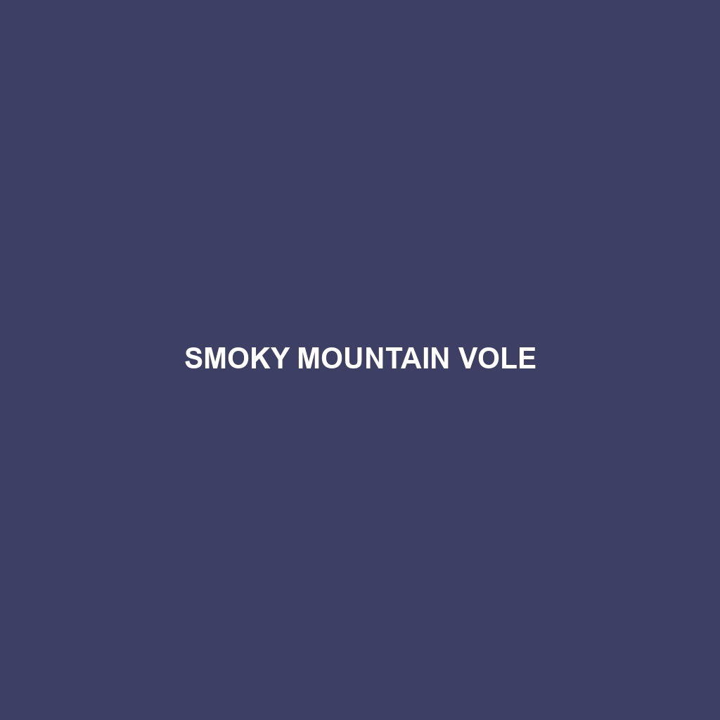 Smoky Mountain Vole