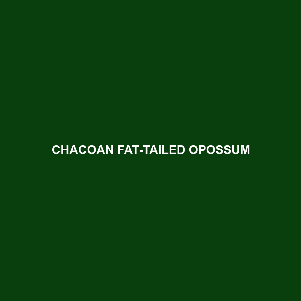 Chacoan Fat-tailed Opossum