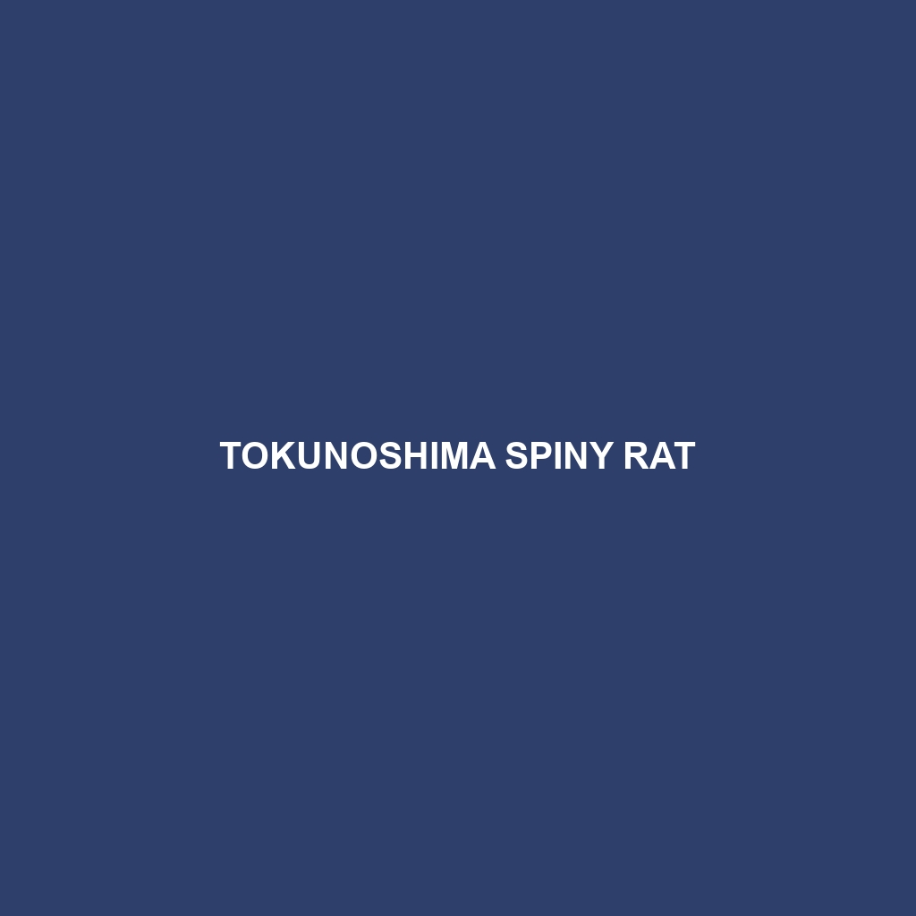 Tokunoshima Spiny Rat