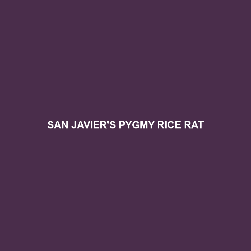 San Javier's Pygmy Rice Rat