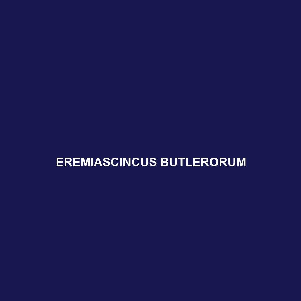 Eremiascincus butlerorum