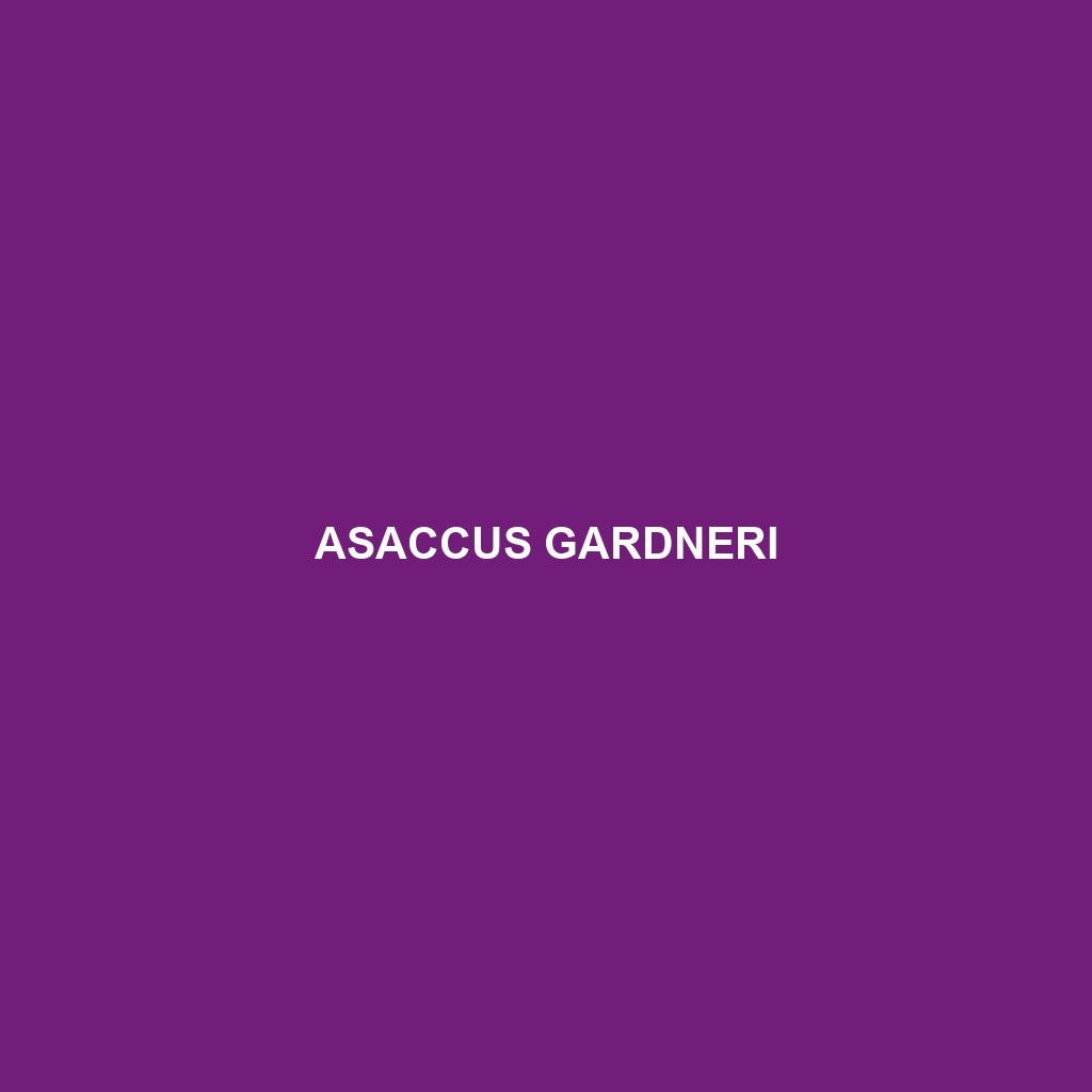 Asaccus gardneri