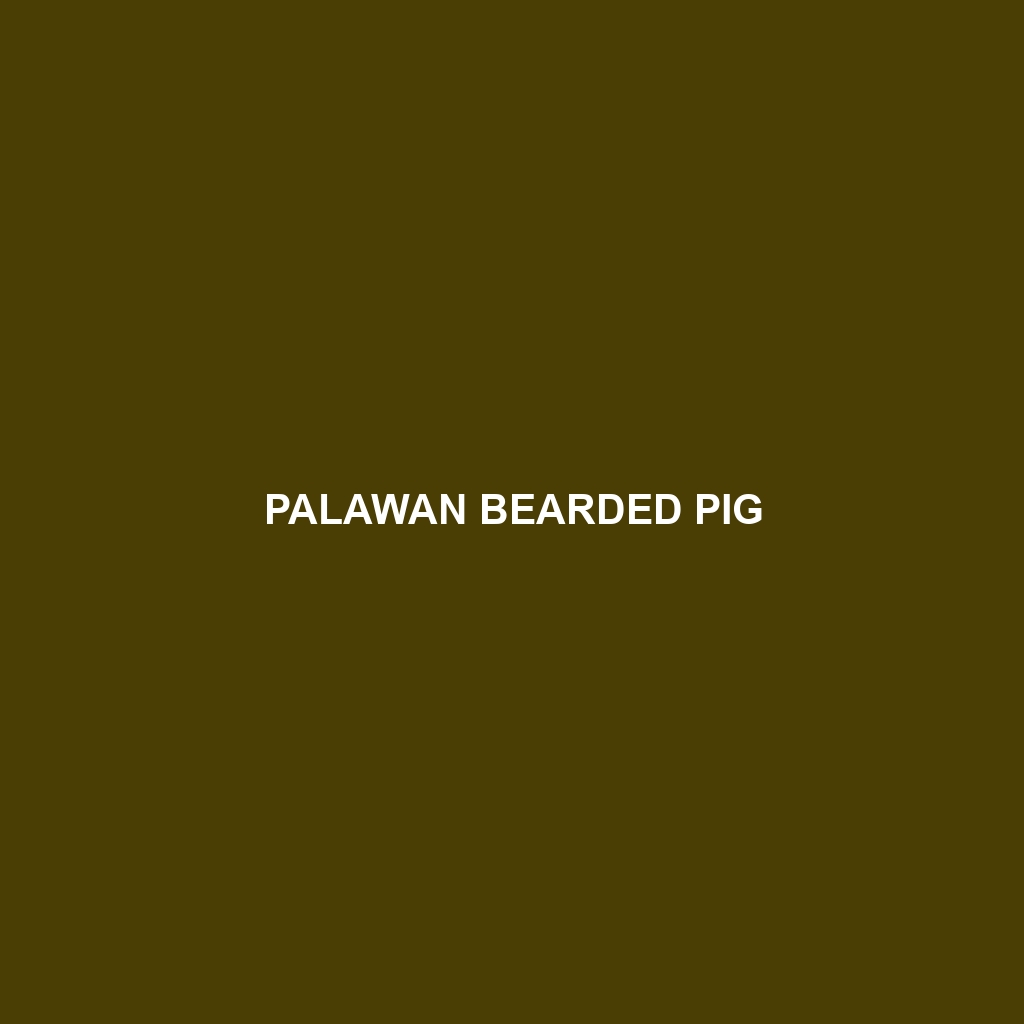 Palawan Bearded Pig