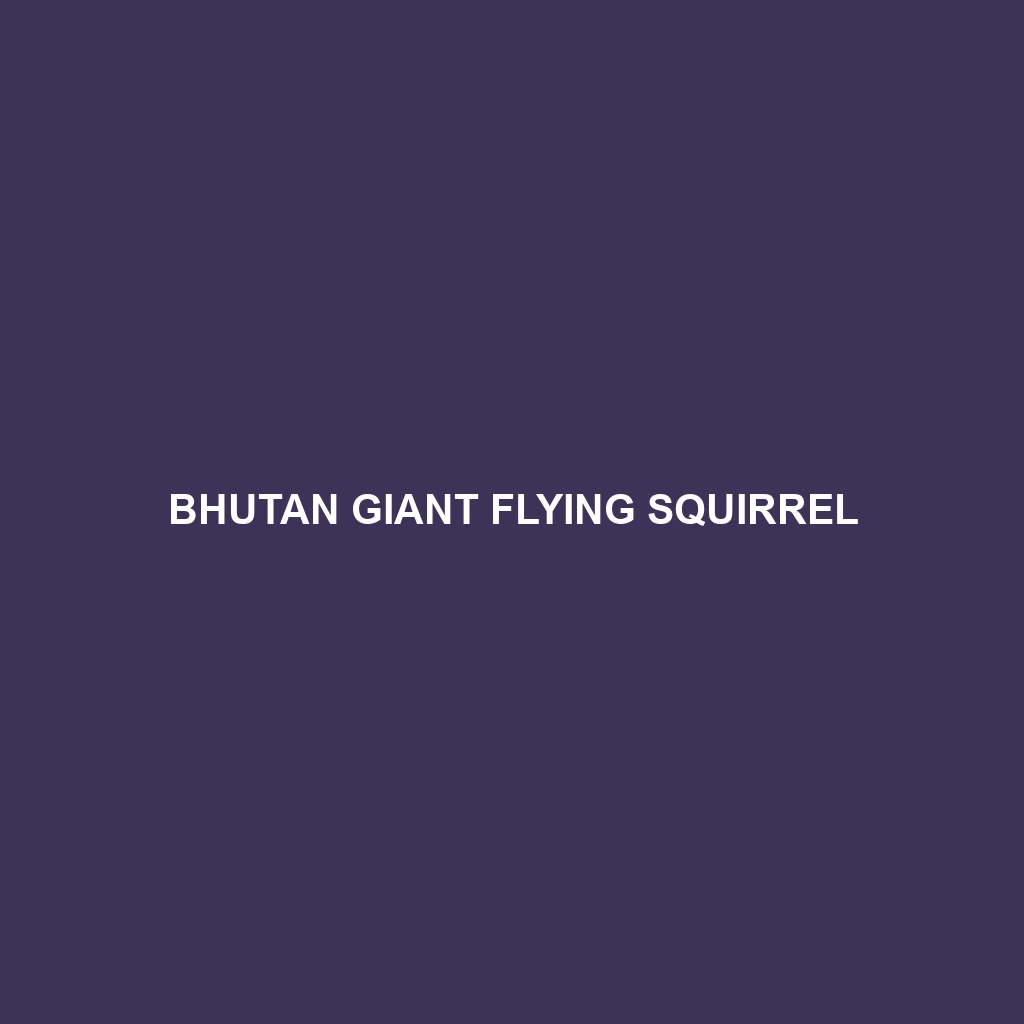 Bhutan Giant Flying Squirrel