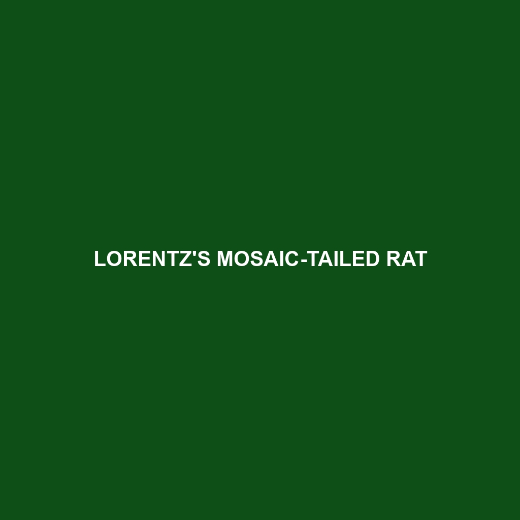 Lorentz's Mosaic-tailed Rat