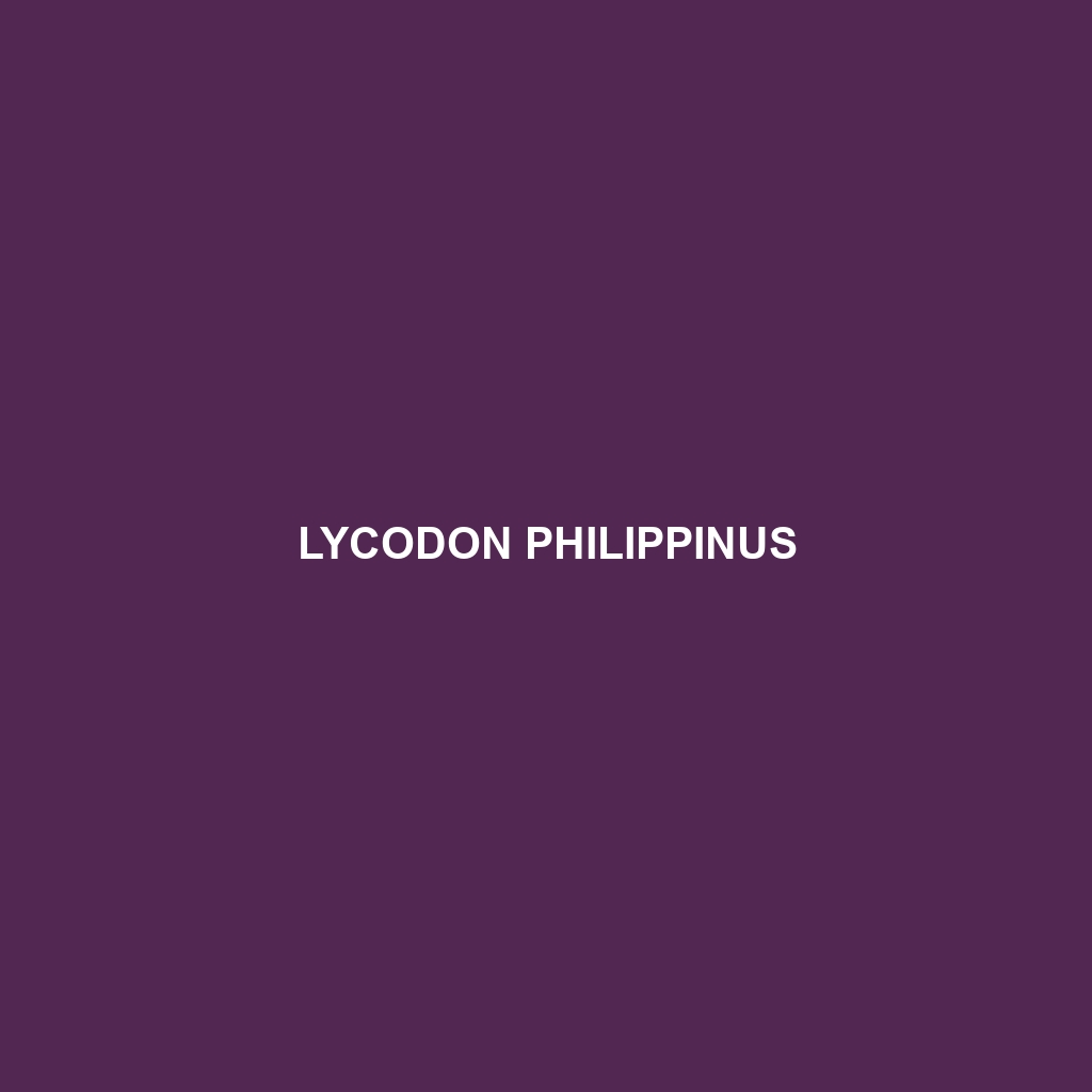 Lycodon philippinus