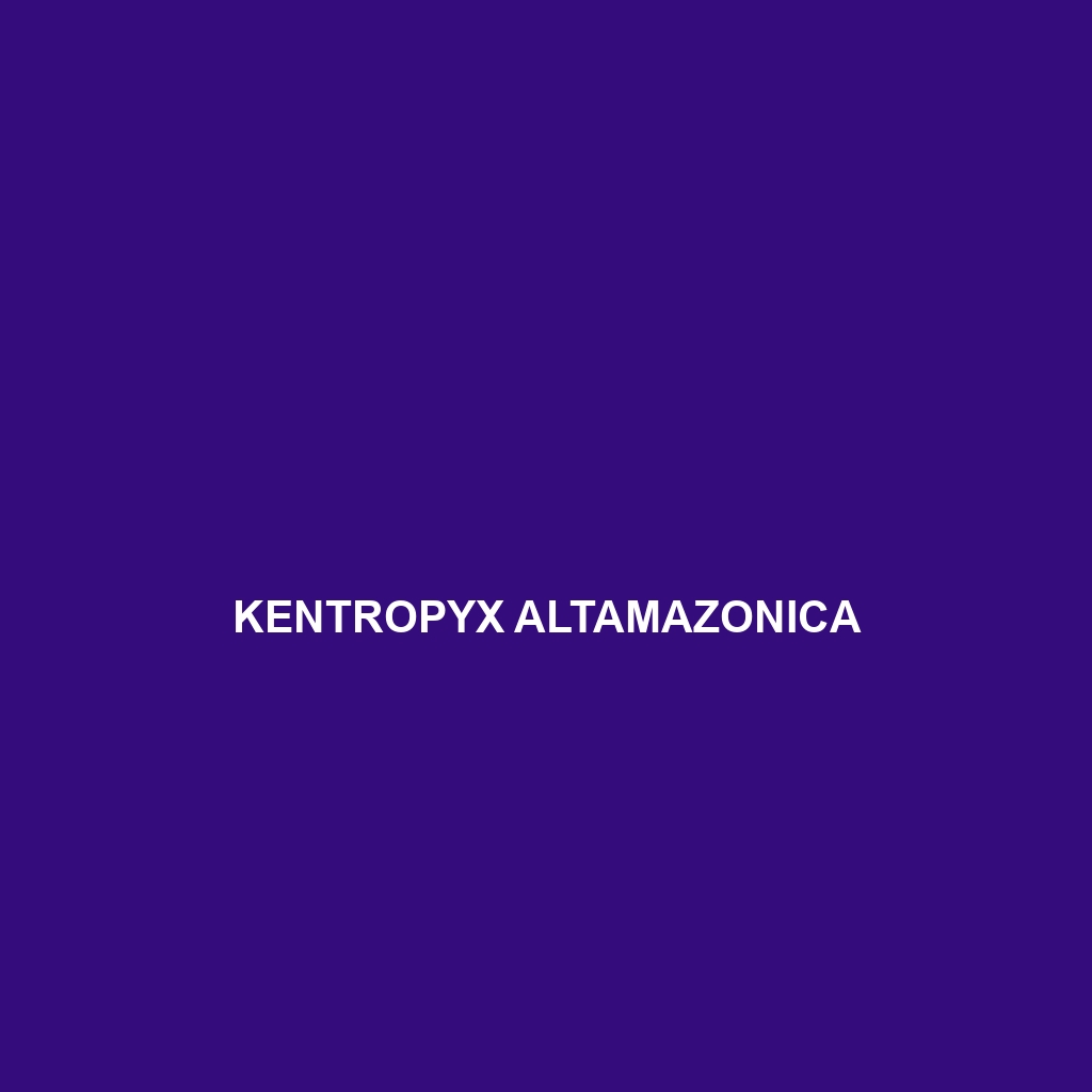 Kentropyx altamazonica