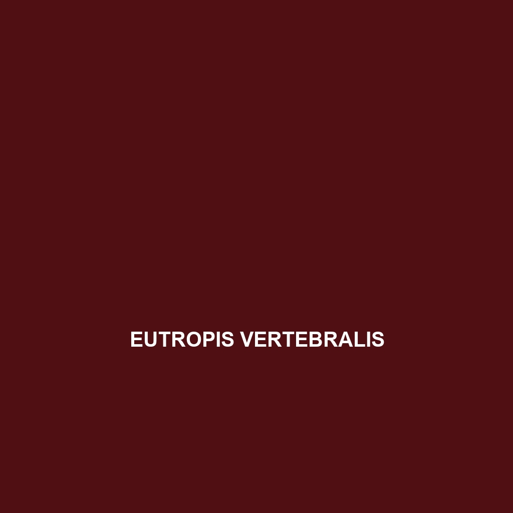 Eutropis vertebralis