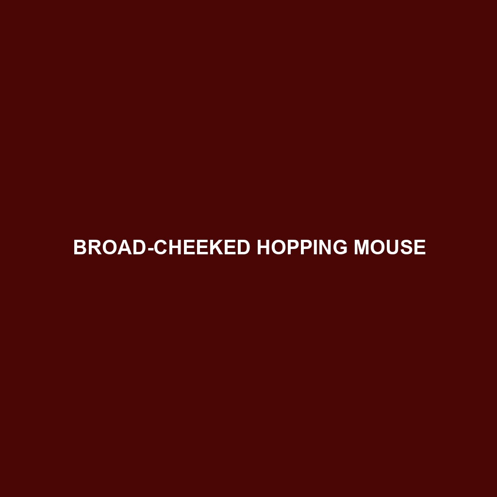 Broad-cheeked Hopping Mouse