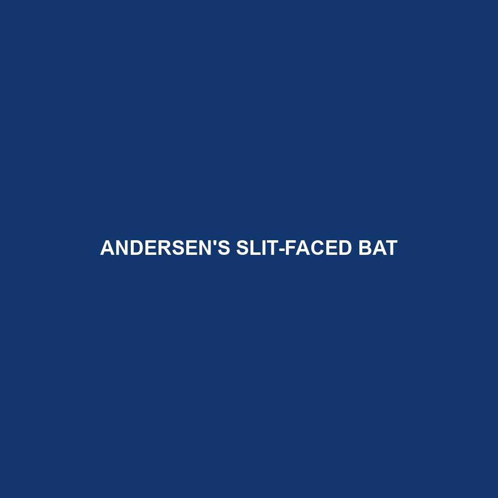 Andersen's Slit-faced Bat