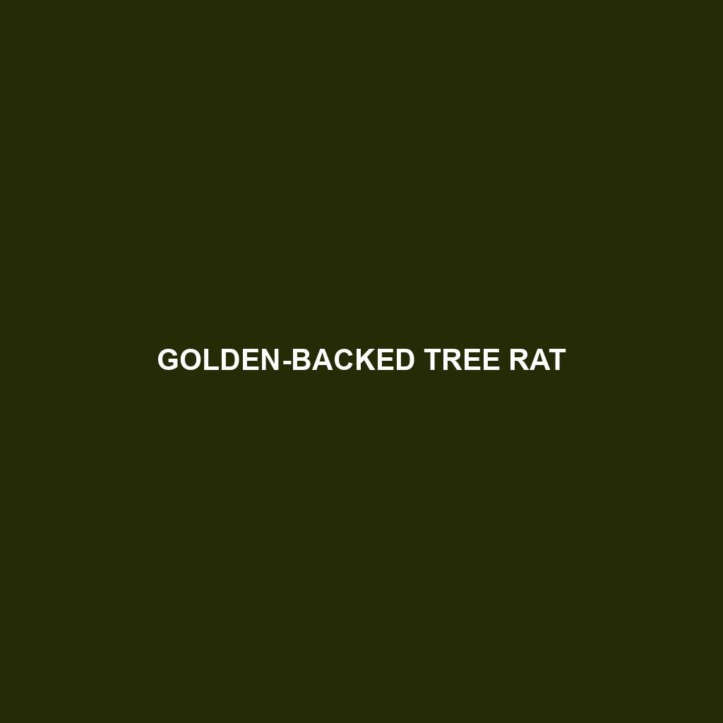 Golden-backed Tree Rat