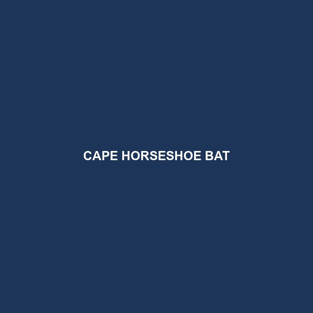 Cape Horseshoe Bat