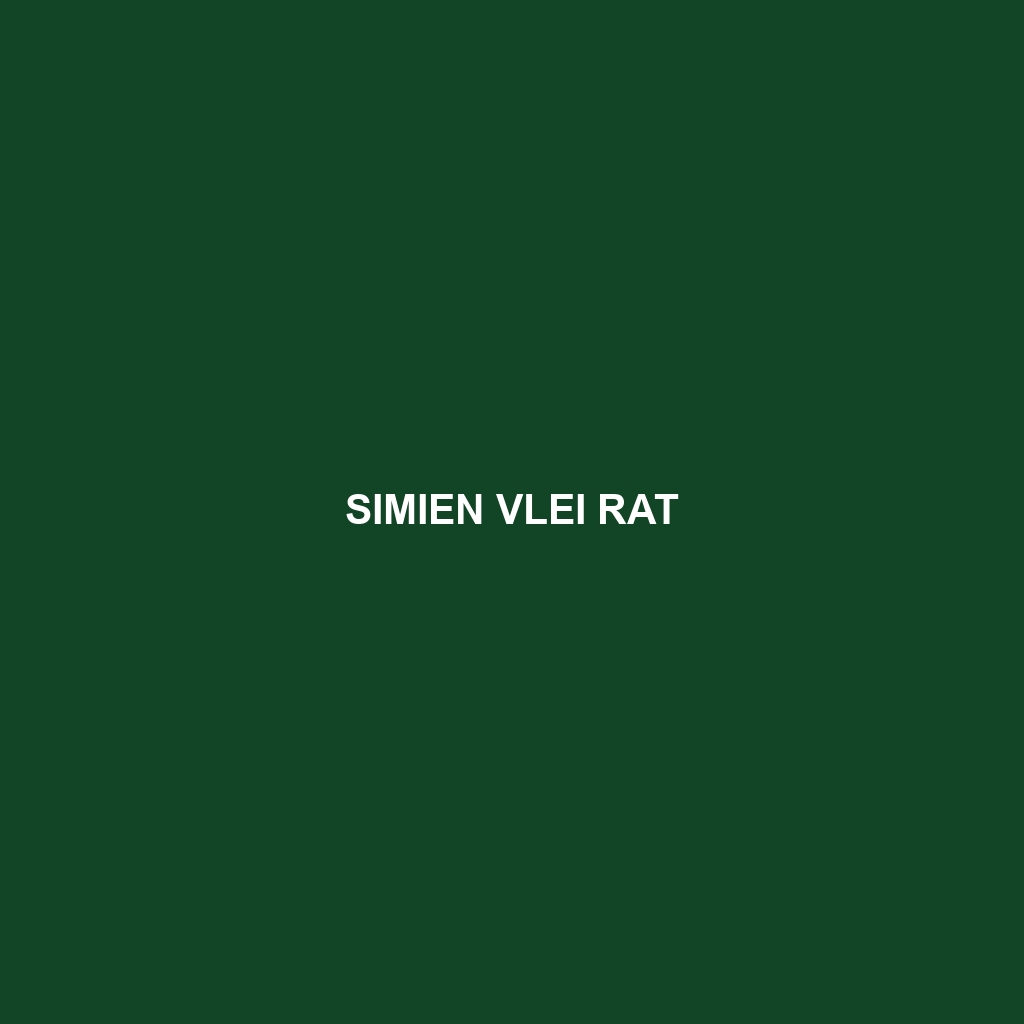 Sloggett's Vlei Rat