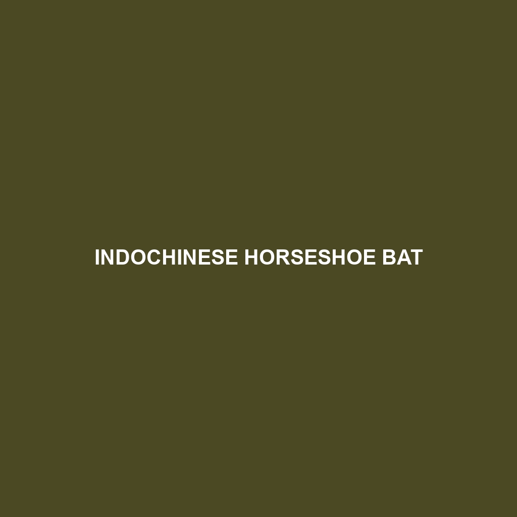 Indochinese Horseshoe Bat