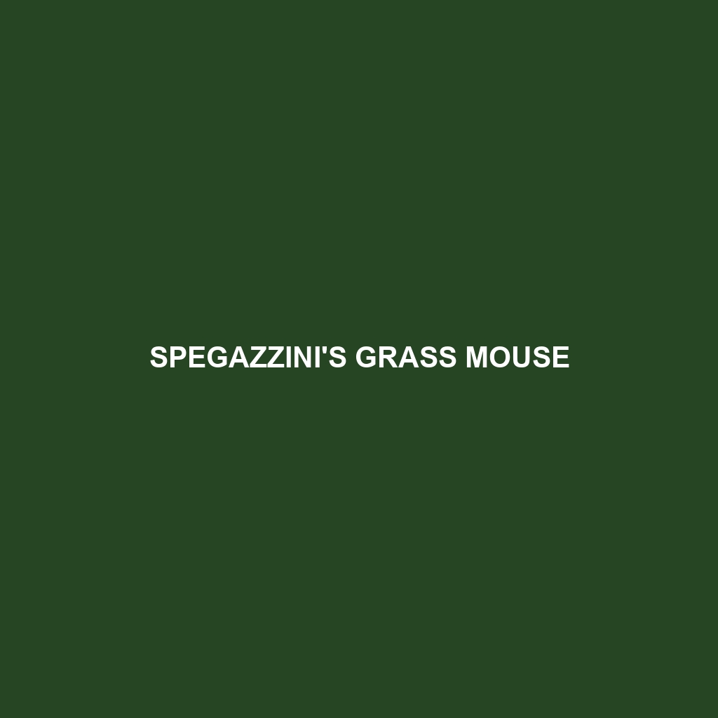 Spegazzini's Grass Mouse