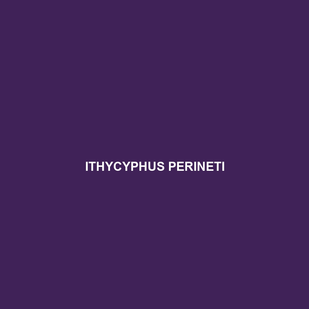 Ithycyphus perineti