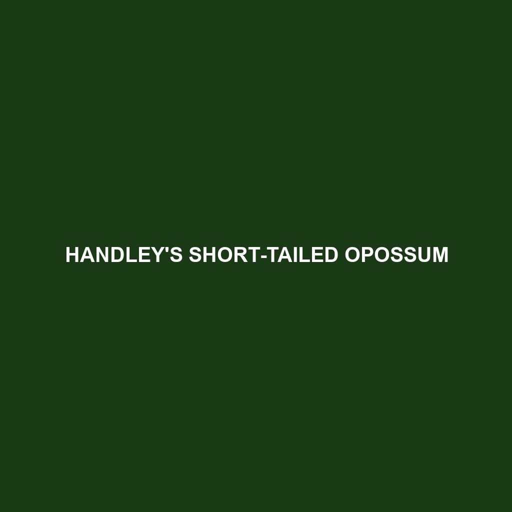 Handley's Short-tailed Opossum