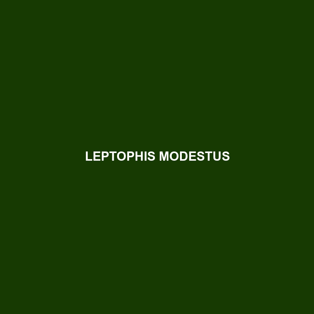 Leptophis modestus