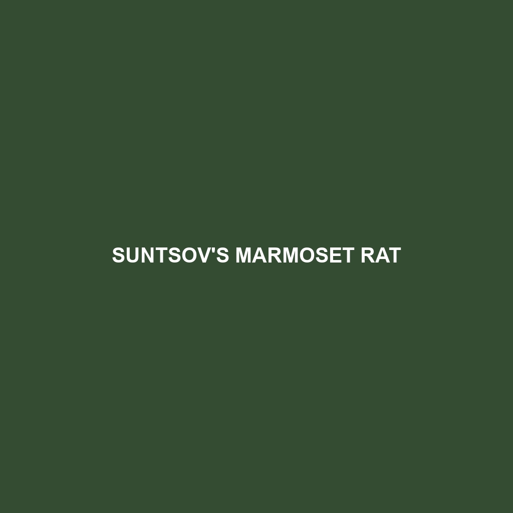 Suntsov's Marmoset Rat