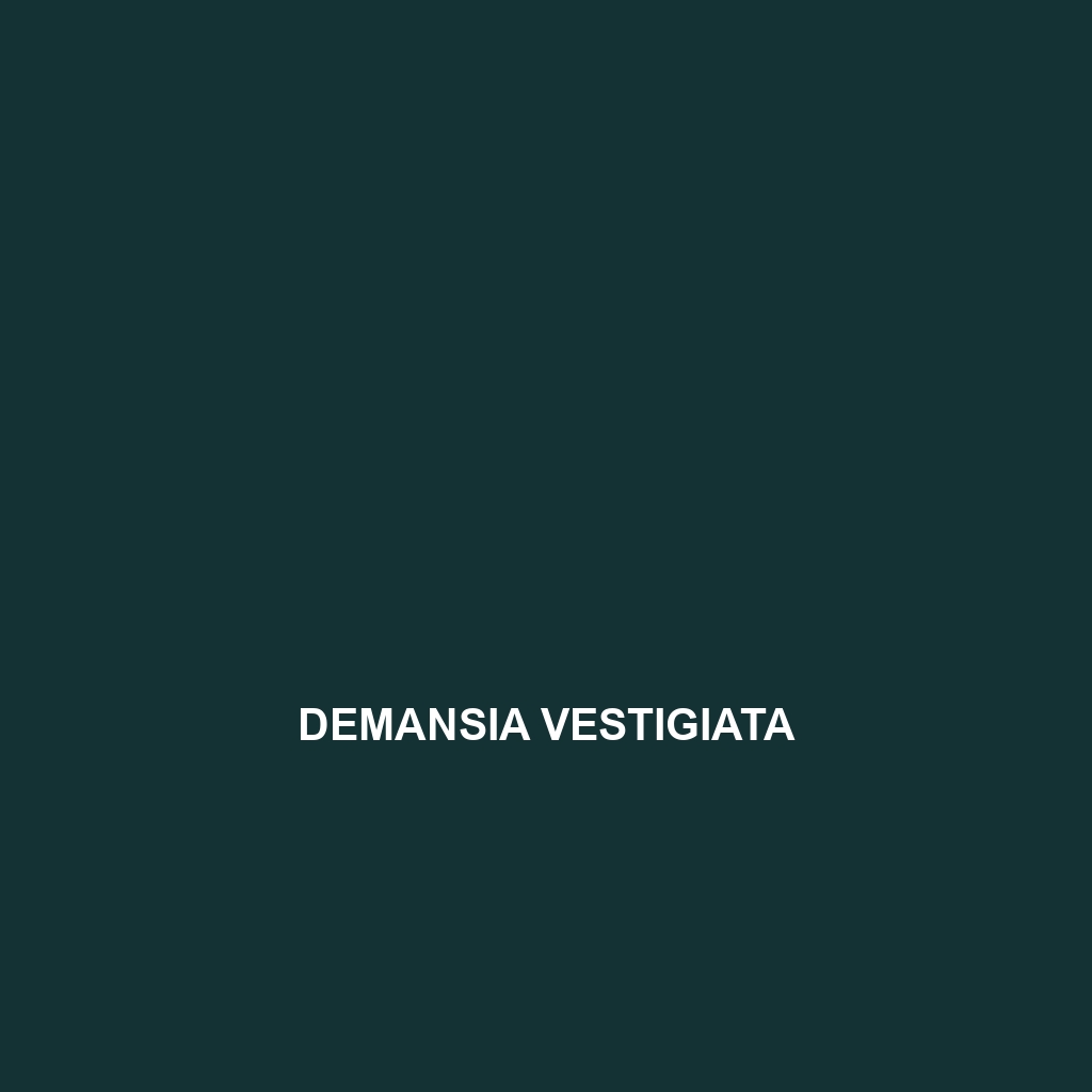 Demansia vestigiata