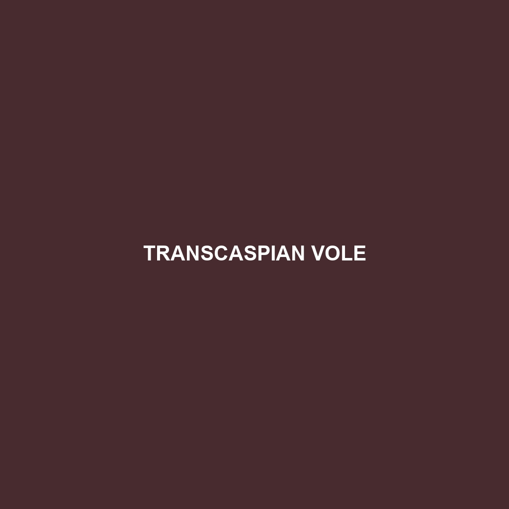 Transcaspian Vole