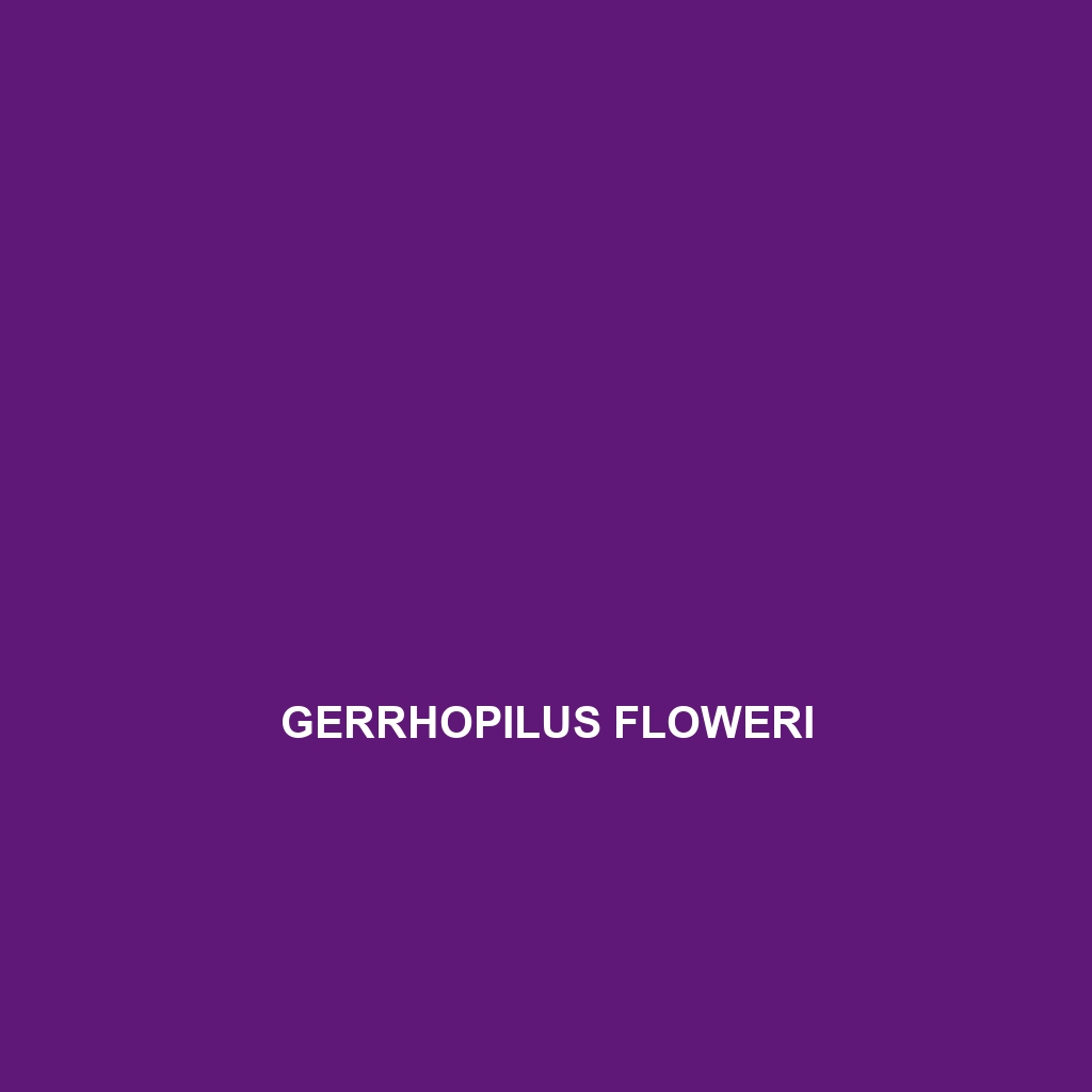 Gerrhopilus floweri