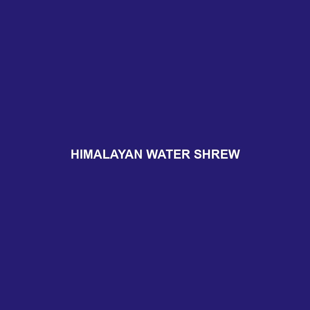 Himalayan Water Shrew