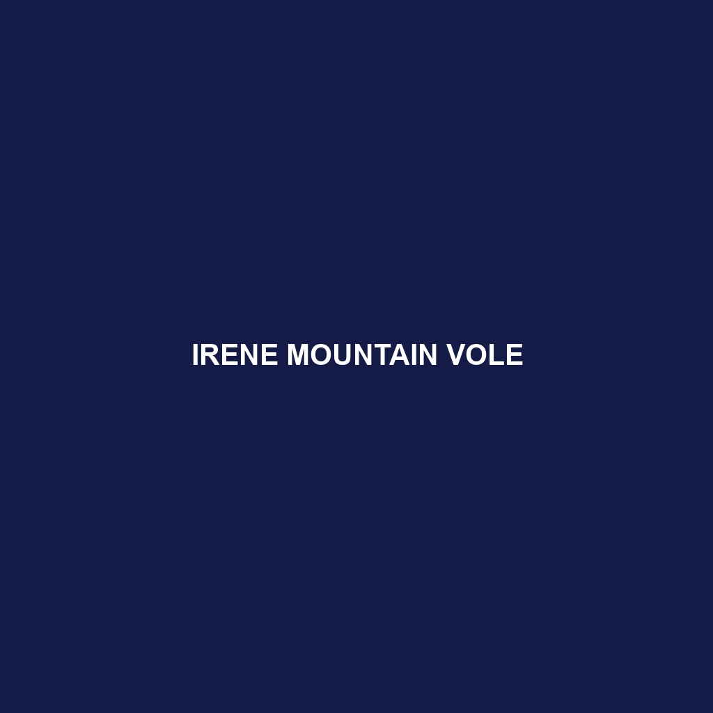 Irene Mountain Vole