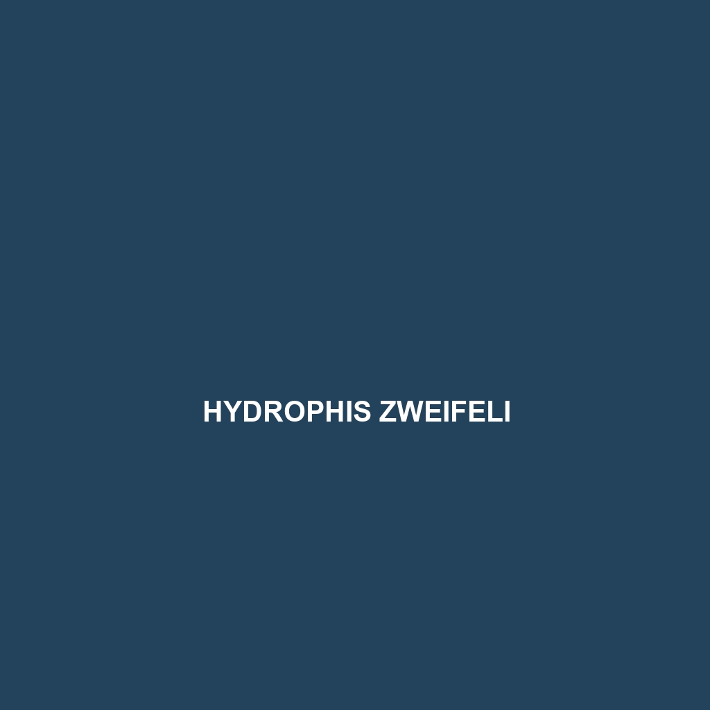 Hydrophis zweifeli