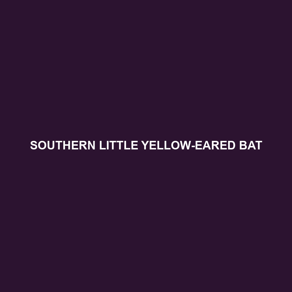 Southern Little Yellow-eared Bat