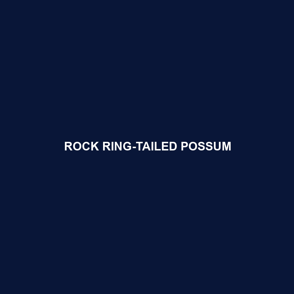 Rock Ring-tailed Possum