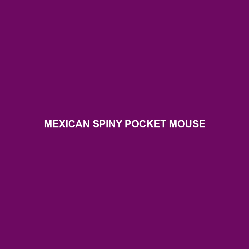 Mexican Spiny Pocket Mouse