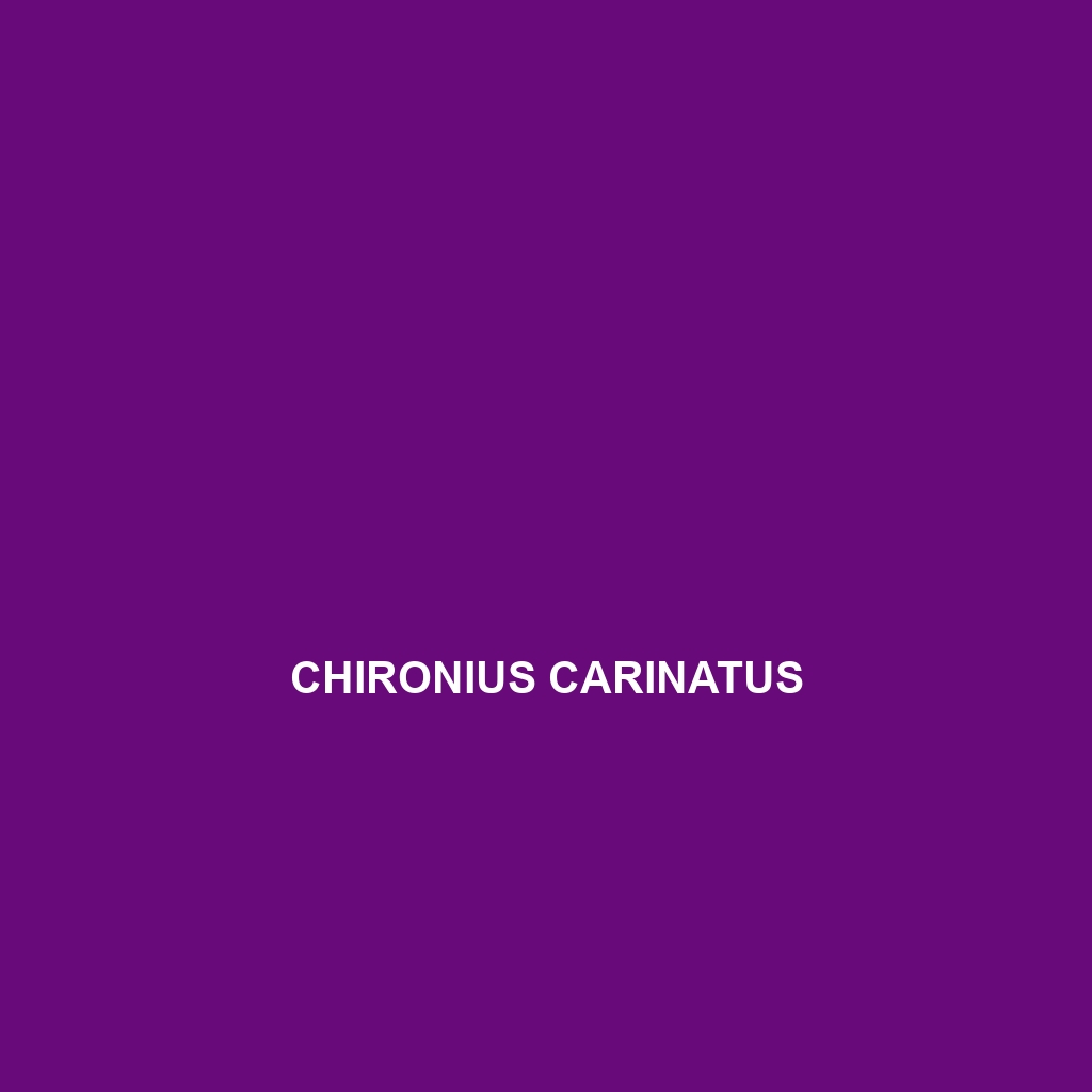 Chironius carinatus