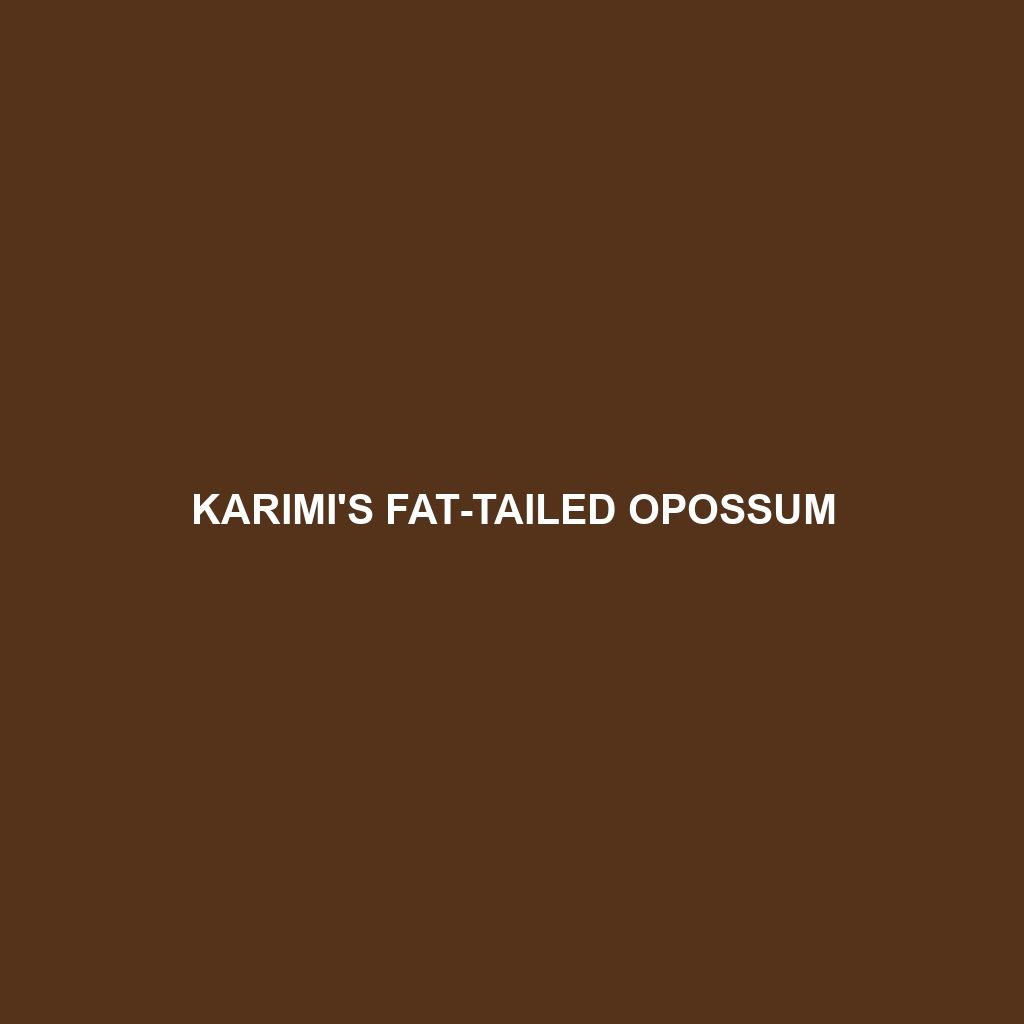 Karimi's Fat-tailed Opossum