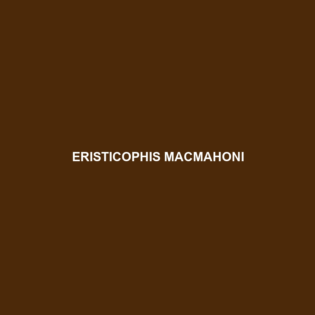 Eristicophis macmahoni