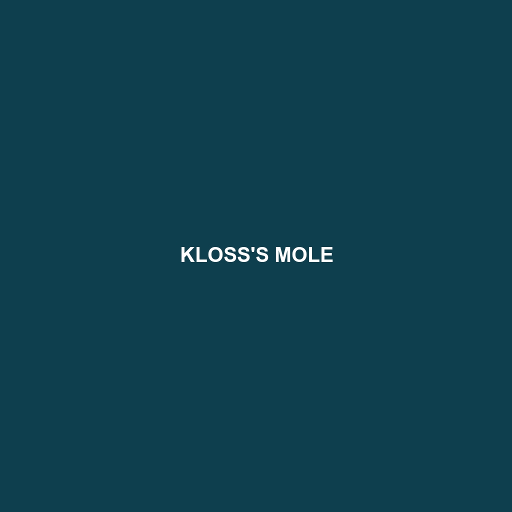 Kloss's Mole