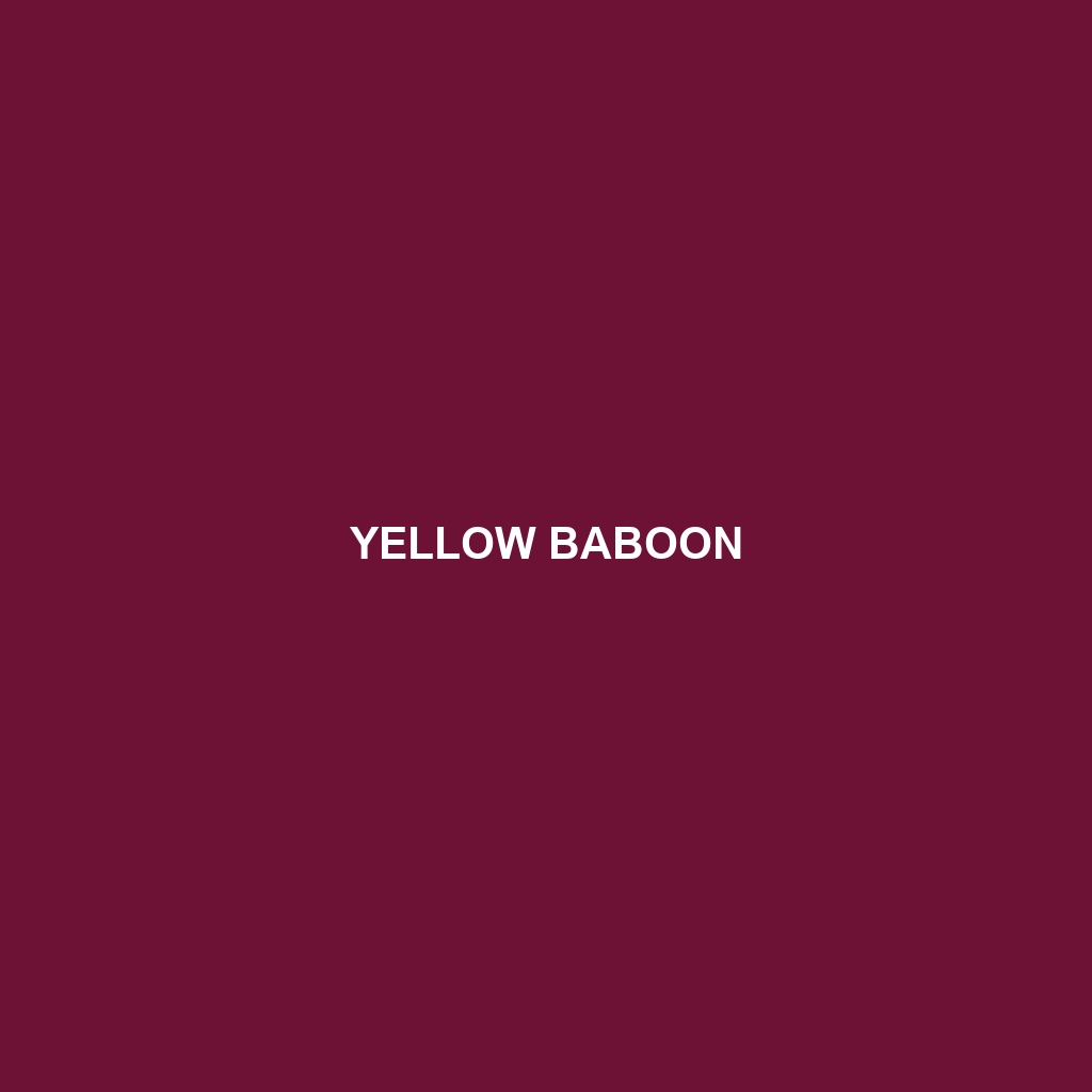 Yellow Baboon