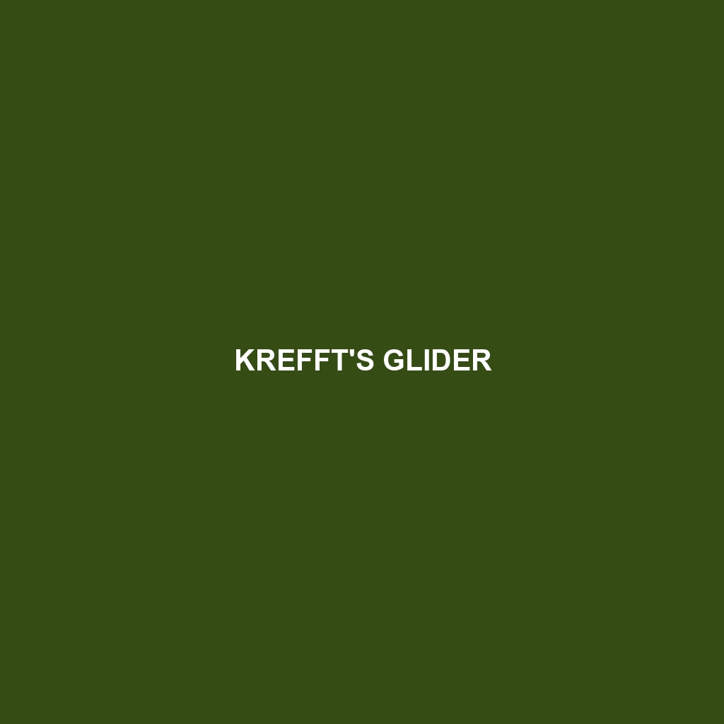 Krefft's Glider