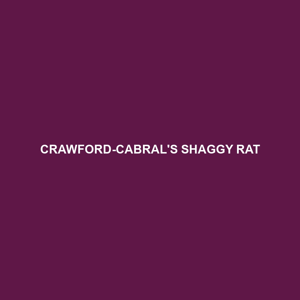 Crawford-Cabral's Shaggy Rat