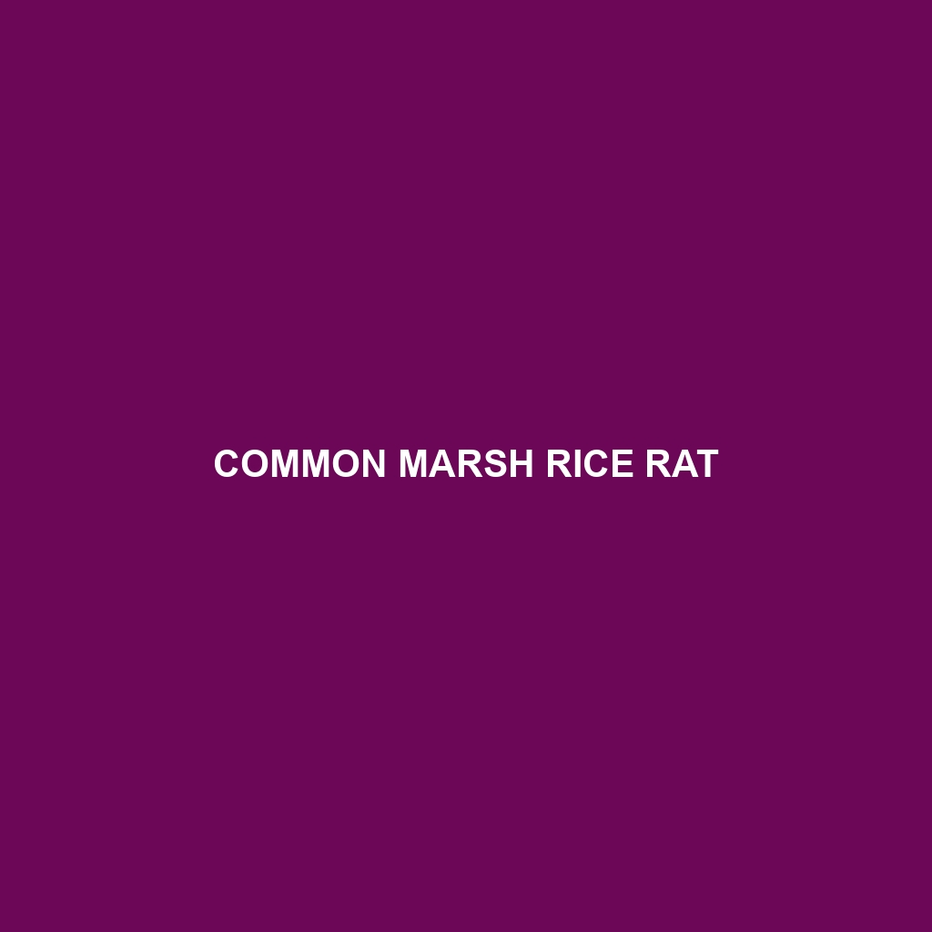 Common Marsh Rice Rat