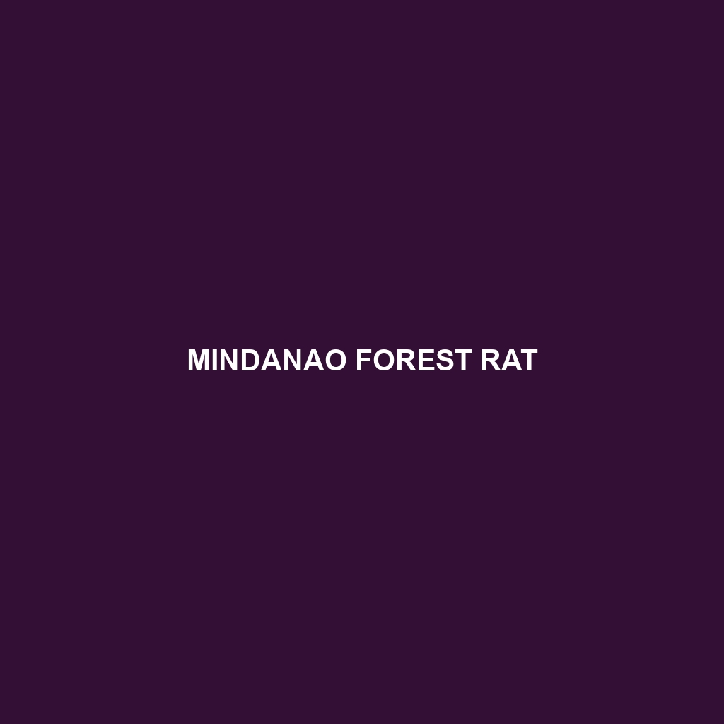 Mindanao Forest Rat