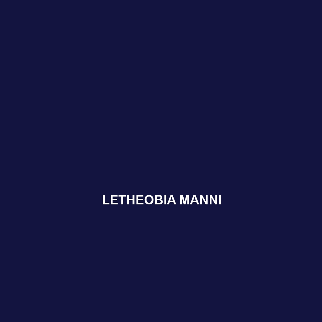 Letheobia manni