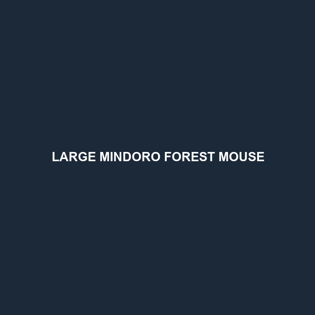 Large Mindoro Forest Mouse