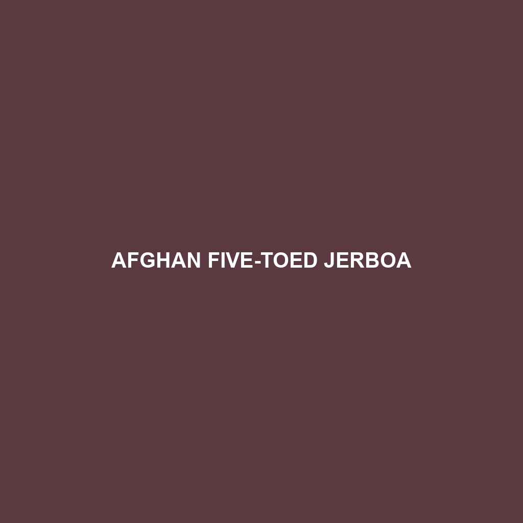 Afghan Five-toed Jerboa